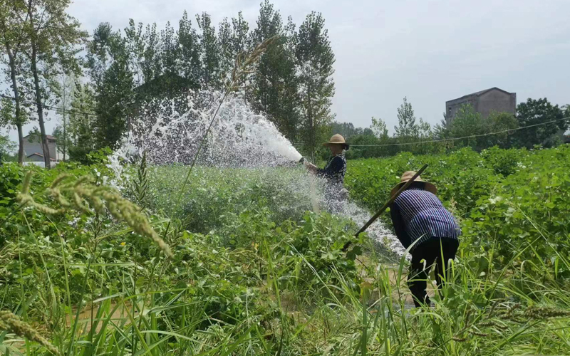 農(nóng)民正在澆灌田地。