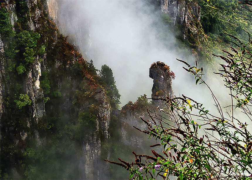 湖北建始：秋韻黃鶴橋 仙境醉游人