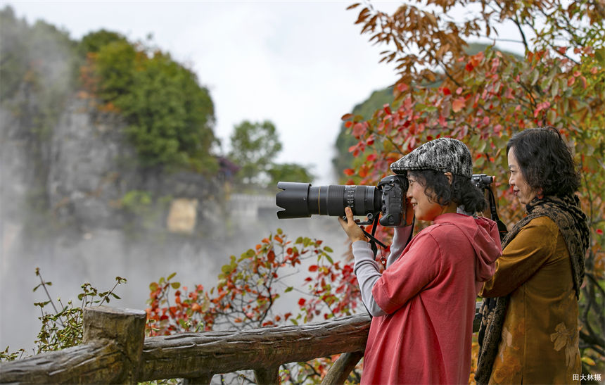 湖北建始：秋韻黃鶴橋 仙境醉游人