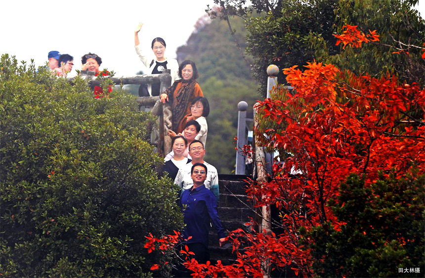 湖北建始：秋韻黃鶴橋 仙境醉游人