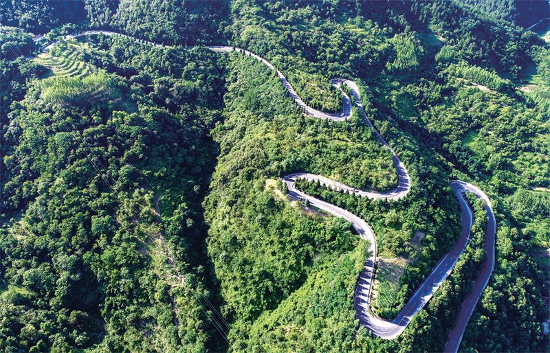 圖為層巒疊嶂間，彎彎曲曲的盤山路猶如巨龍蜿蜒盤旋。 鄖軒文攝