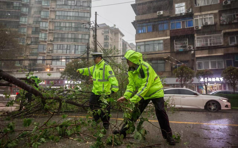 交警清除樹枝等路障。