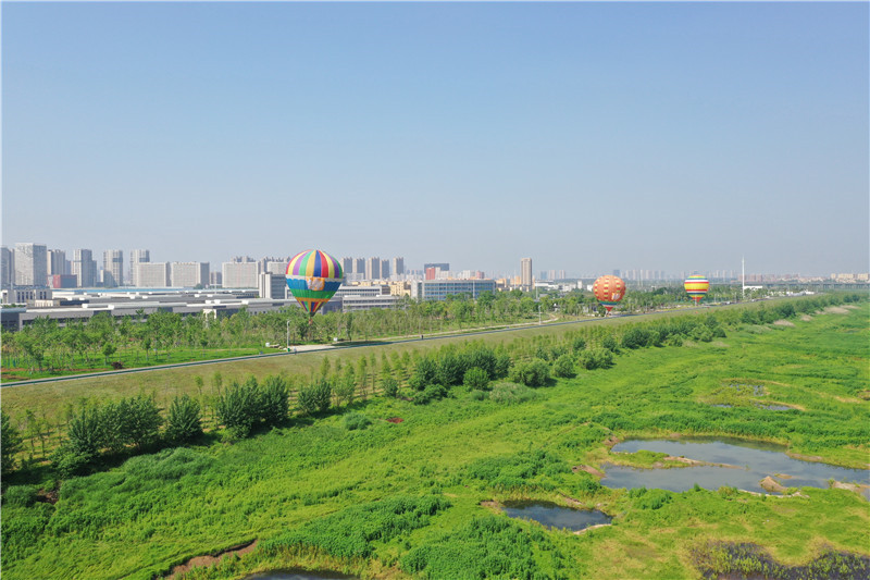 府河兩岸綠意盎然。東西湖區(qū)委宣傳部供圖