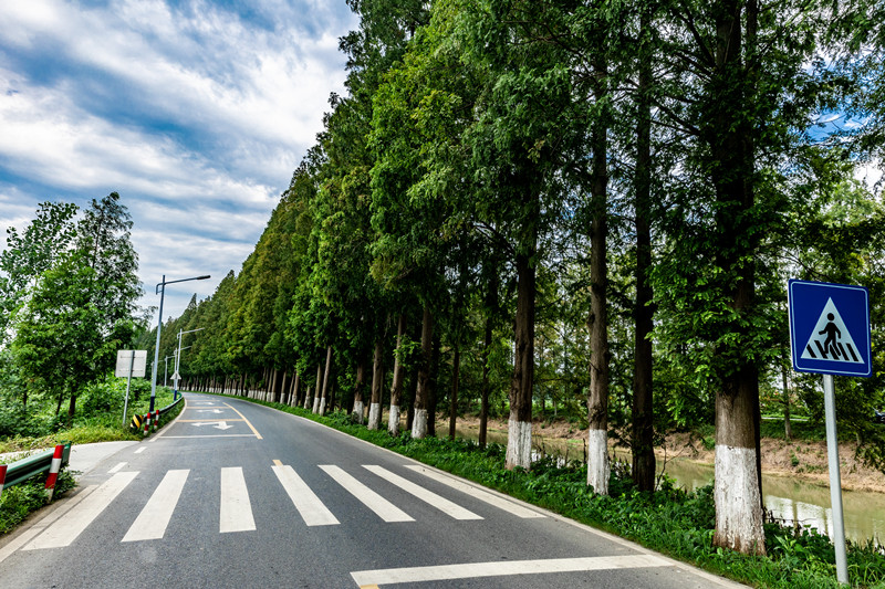 潛江市鹽興公路。潛江市交通運(yùn)輸局供圖