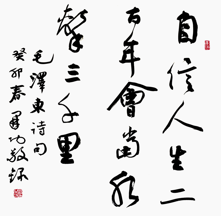 風(fēng)格獨(dú)具 奇肆開張——魏開功書法評(píng)彈【2】