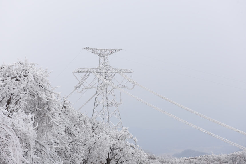 電力應急處置人員爬上70米高的±800千伏陜武輸電線路1898號塔，通過機械震動方式清除地線和光纜上的積雪。鄒小民攝 