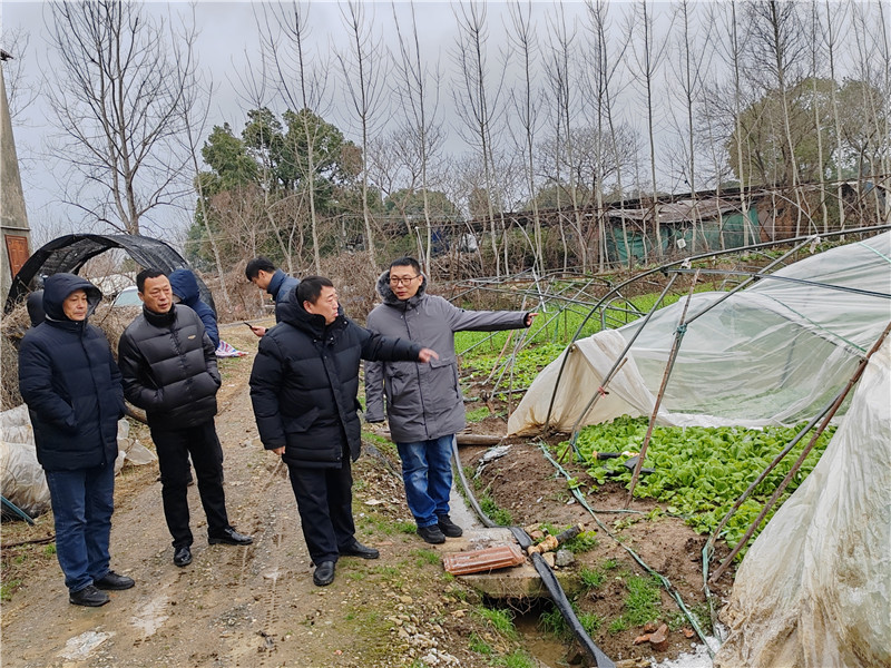 2月21日，東西湖區(qū)農(nóng)業(yè)農(nóng)村局王燕常副局長帶隊到長青街道查看蔬菜和大棚受災情況。