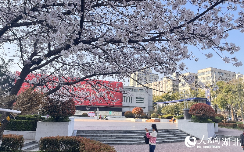 湖北武漢：花團(tuán)錦簇春意濃