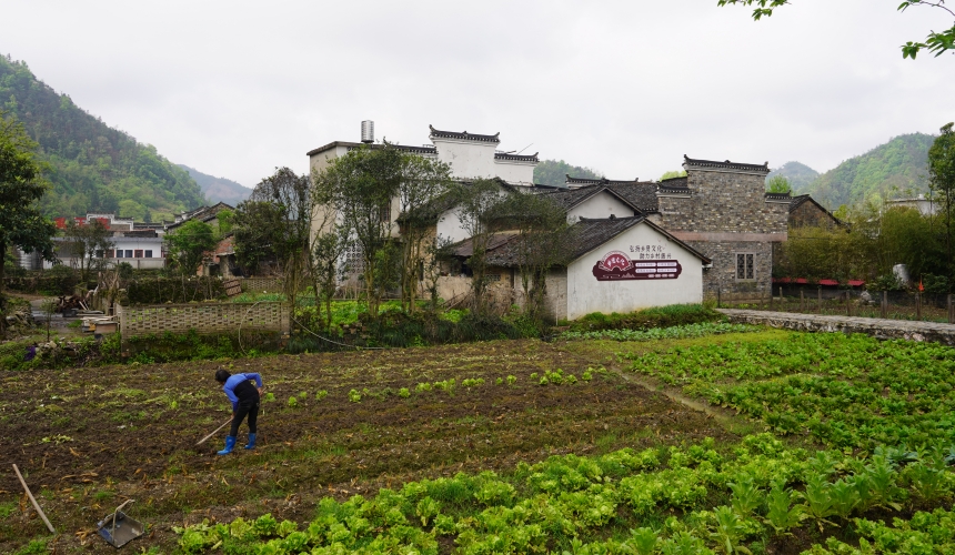 在通山石門村長夏畈古民居群，村民正在田間勞作。人民網(wǎng)記者 周雯攝