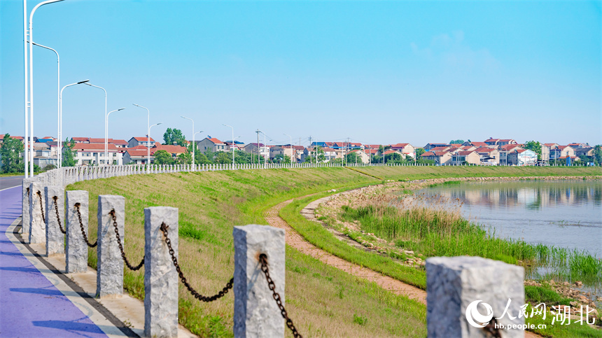 梁子湖邊道路。人民網(wǎng)記者 周倩文攝