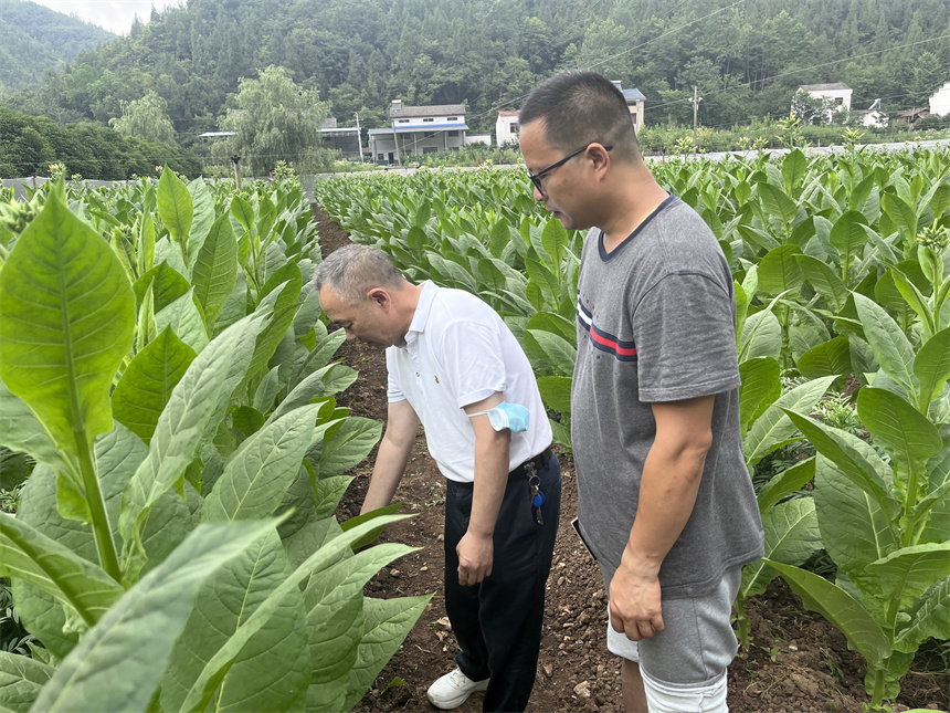 執(zhí)科研創(chuàng)新之筆 繪產(chǎn)業(yè)發(fā)展新畫卷