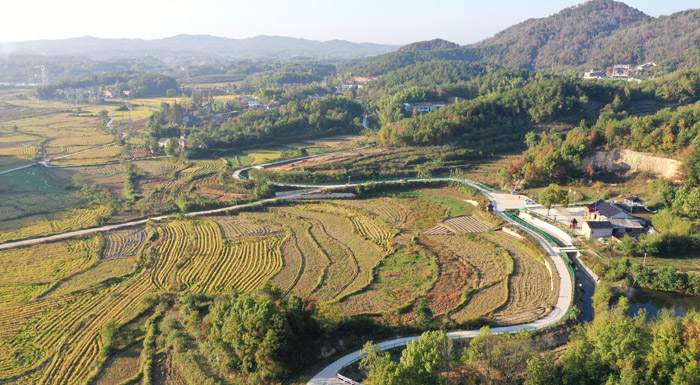 蘄水灌區(qū)。王郭驥攝